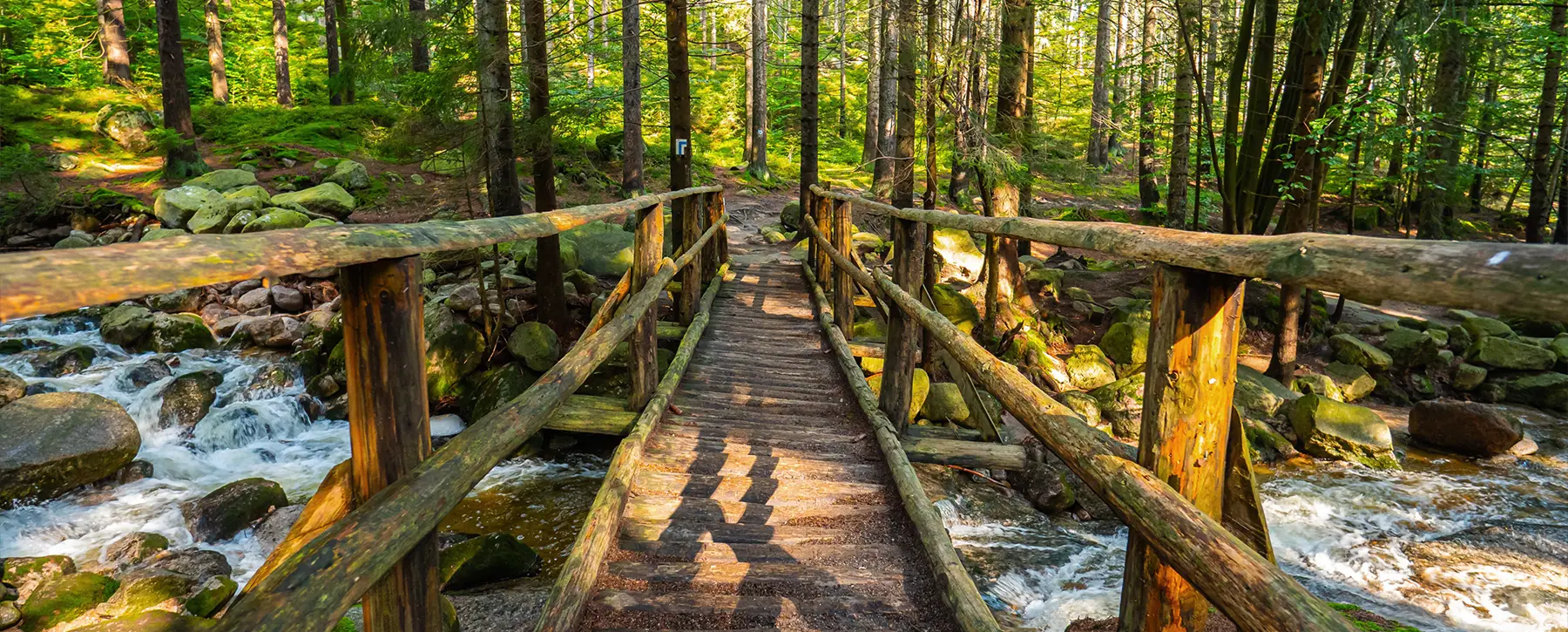 Podróże po Polsce dla miłośników natury – jeziora, góry i lasy