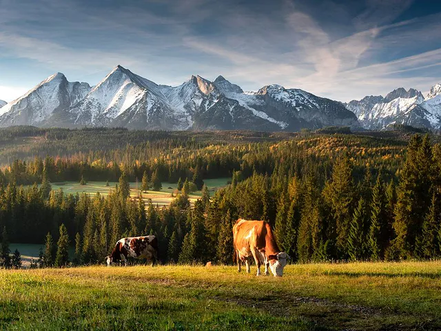 Najpiękniejsze punkty widokowe w Polsce