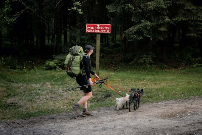 Z psem w polskie góry – do jakich parków narodowych wejdziesz z czworonogiem, a gdzie jest zakaz?